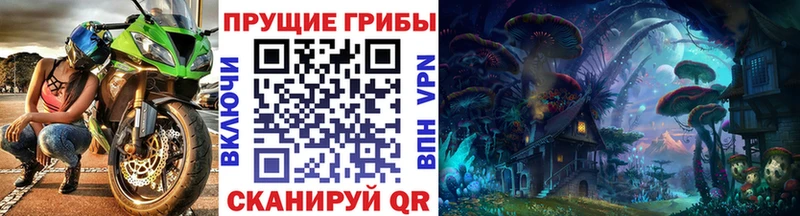 Галлюциногенные грибы GOLDEN TEACHER  где продают   Рубцовск 