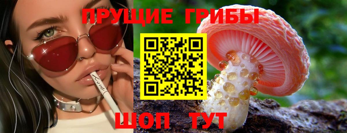 Галлюциногенные грибы Magic Shrooms  Псилоцибиновые грибы Psilocybe  купить закладку  Вход с VPN  Рубцовск 